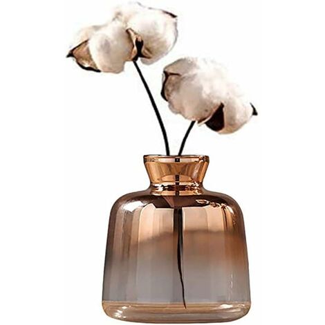 GDRHVFD Vase Decoratif Vase Transparent Pour Pampa, Petit Vase Mariage Vase À Fleurs Séchées Par Galvanoplastie, Centre De Table Vase Pour Bureau Christmas Décorer (1194Cm)