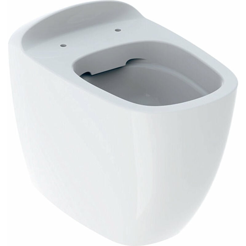 

Citterio washdown WC 500512011, a ras, 6l, a ras de suelo, a ras de pared, blanco con KeraTect - 500.512.01.1 - Keramag