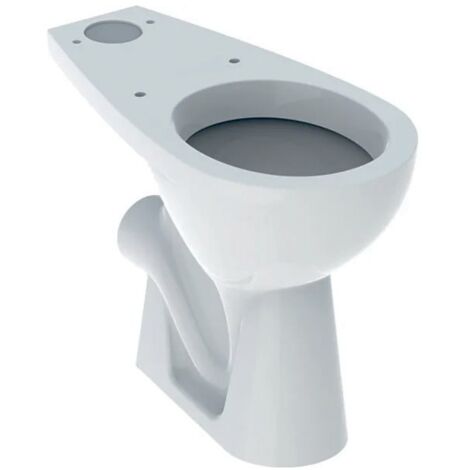 Geberit – Cuvette WC surélevée Bastia – Sortie horizontale – Hauteur d'assise surélevée – Fixation 4 points – Compatible réservoir attenant