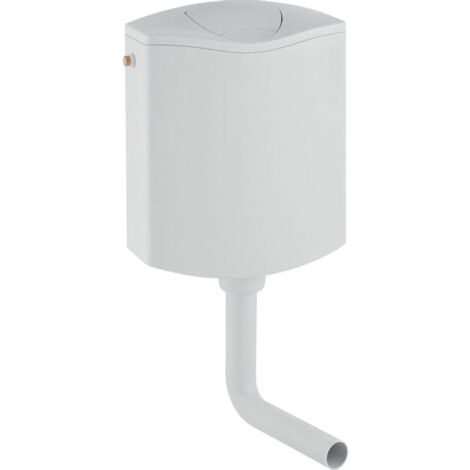Geberit Réservoir WC suspendu bas 2 boutons avec porte-blocs blanc alpin - Blanc