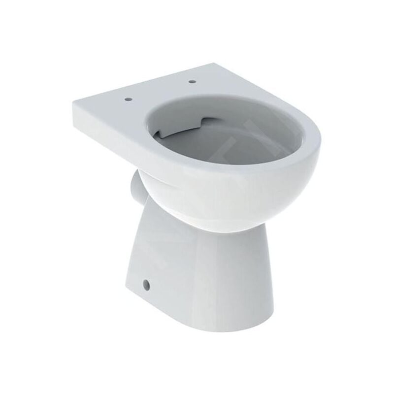 Geberit Selnova - WC à poser, 490x352 mm, Rimfree, blanc 500.480.01.7