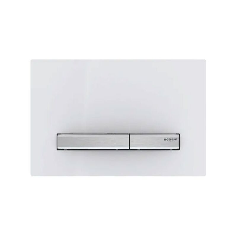 Sigma50 Dual Flush Plate - White Alpine - Geberit