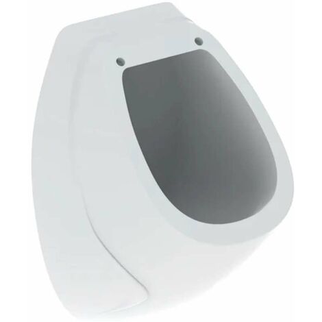 Geberit Urinali - Urinale, ingresso posteriore, bianco 239200000