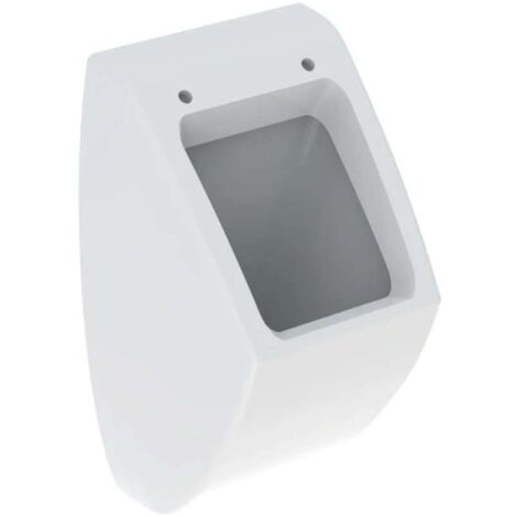 Geberit Urinarios - Urinario, suministro de agua posterior, blanco 236100000