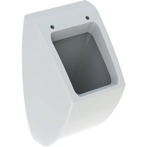 Geberit Urinoirs - Urinoir, alimentation d’eau arrière, blanc 236100000