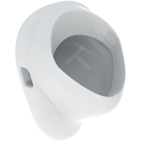 Geberit Urinoirs - Urinoir, arrivée d'eau arrière, blanc 502.895.00.1