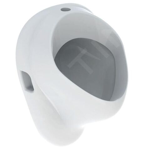 Geberit Urinoirs - Urinoir, arrivée d'eau par le haut, blanc 502.885.00.1