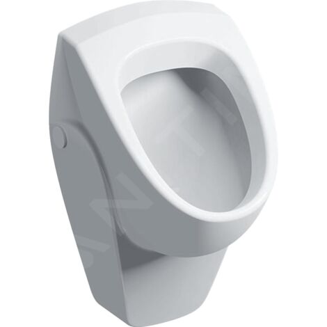 Geberit Urinoirs - Urinoir Selnova, alimentation arrière, blanc 500.344.01.1