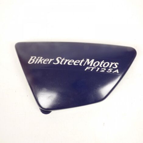 [GEBRAUCHT] [GEBRAUCHTWAREN] Seitendeckel links Original für Motorrad Bsm FT