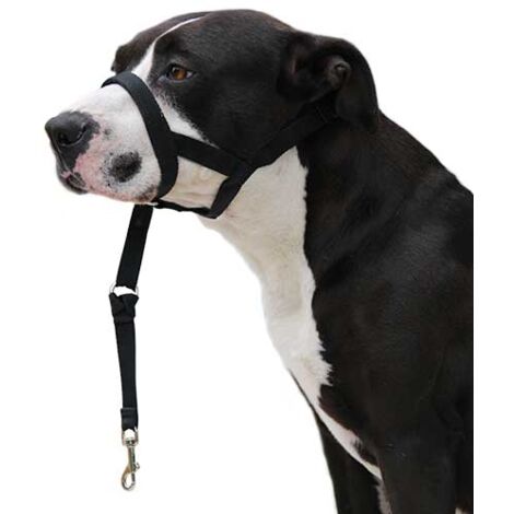 [GEBRAUCHT] Hundeführer Ibáñez Dogway DOG GUIDER IBÁÑEZ DOGWAY XXL