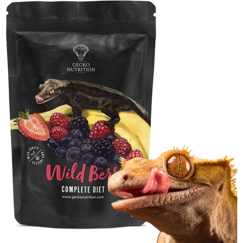 Gecko Nutrition Banana Forest Fruits - nourriture pour geckos : Gecko à crête, Felsuma 50 g