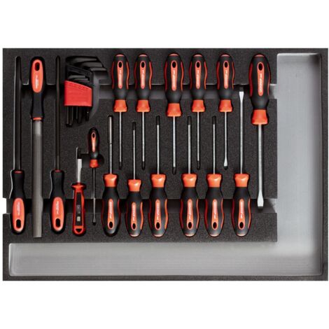 GEDORE RED 3301683 - Ensemble d'outils Shr.Dr.Files CT-Module 26 pcs , R22350002