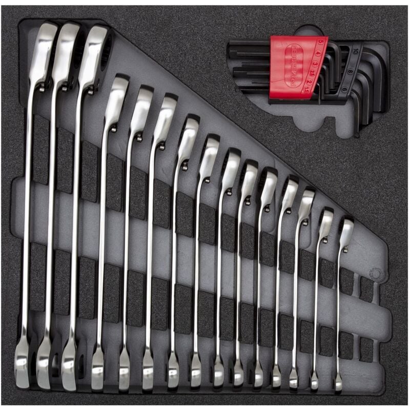 Gedore - red 3301700 - Jeu de clés 4/6 ct module 24 pcs. , R22250001