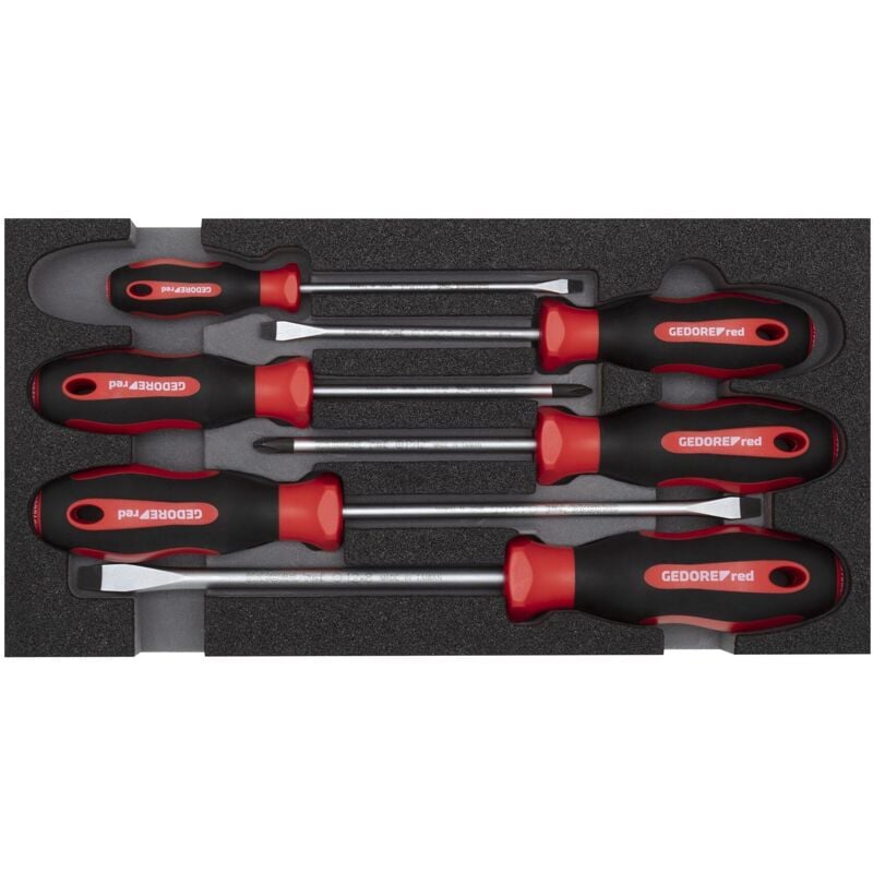 Red 3301712 - Vis Dr. Set ph sl 2/6 CT-Module 6 pcs. , R22150013 - Gedore