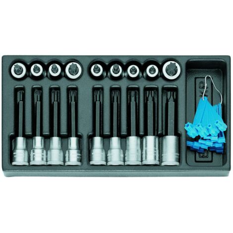 Gedore Satz Schraubendrehereinsätze 1/2 in 1/3 ES-Modul, Nr. 1500 ES-ITX 19 LKP