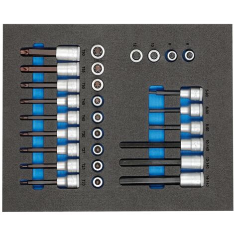 Gedore TS CT2-ITX19 Satz Schraubendrehereinsätze 1 /2" in 2/4 CT-Modul