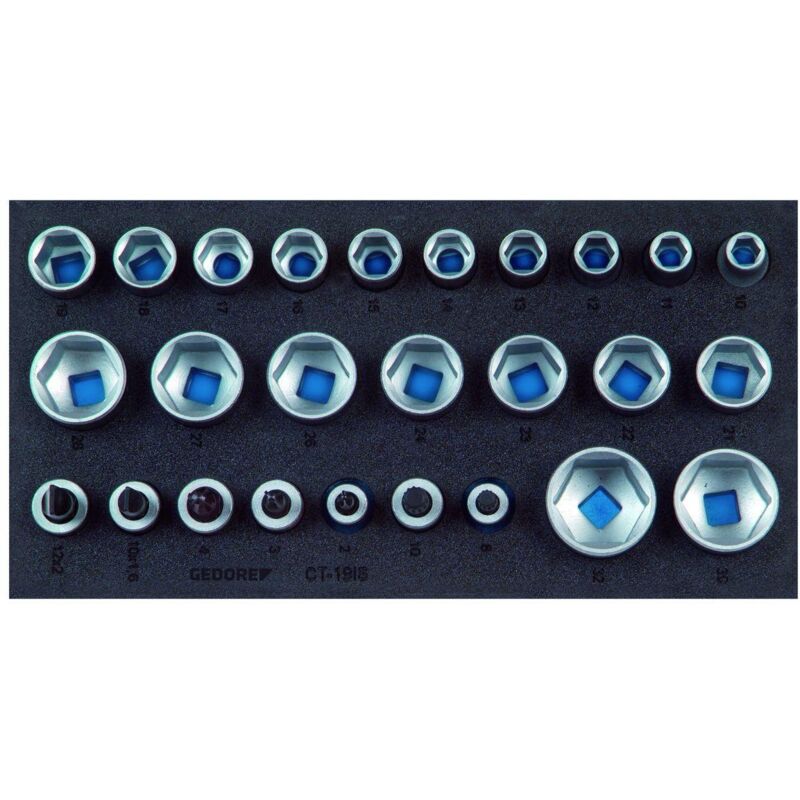 Image of 1500 CT1-19 is Satz Steckschlüsseleinsätze 1/2' in Check-Tool-Modul