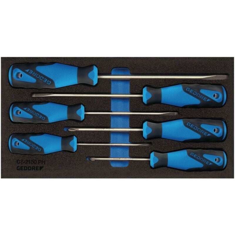 Image of Gedore - Werkzeugmodul 1500 CT1-2150 ph 6-teilig 1/3-Modul Schlitz / ph