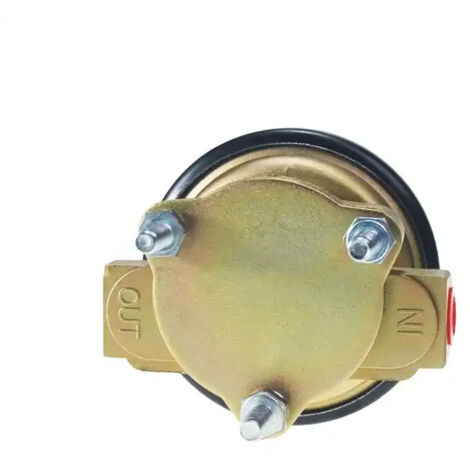 Geeignet für die Dieselpumpe SP1333 P60911 und die elektrische Kraftstoffpumpe 4020275