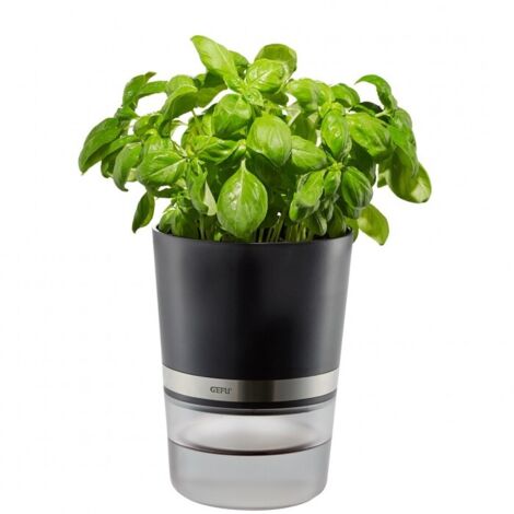 Gefu Botanico Vaso Erbe Aromatiche
