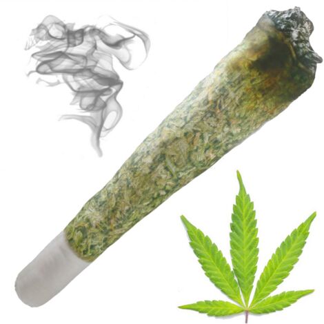 GELENKKISSEN GIBON GANJA THC CBD 1,5 METER GESCHENK ZUM 18. GEBURTSTAG