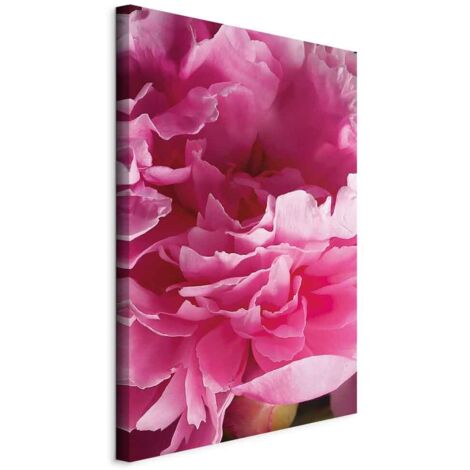 Gemälde – Blühende Schönheit (1-teilig) – rosa Pfingstrose im Schoß der Natur