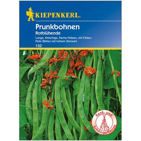 Gemüsesamen, Prunkbohnen 'Rotblühende'