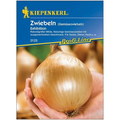 Gemüsezwiebel 'Exhibition'