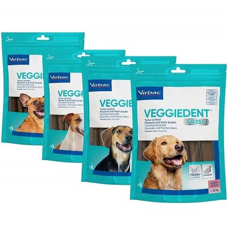 GemÙse FR3SH L 24 Personen fÙr gro¤e Hunde