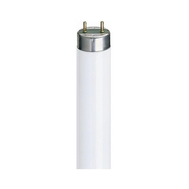 General Electric - 29548 Box of 25 18W T8 fluorescent lamps