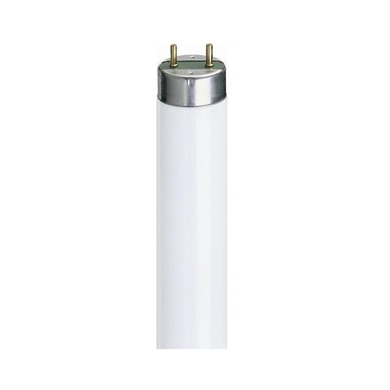Image of Elettrico Generale - General electric 29548 Scatola da 25 lampade fluorescenti 18W T8 - bianco