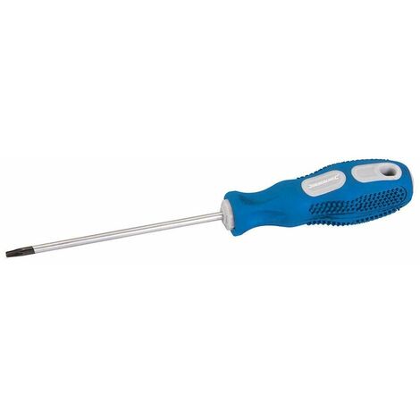 General Purpose Screwdriver Trx - T15 x 100mm (244377)