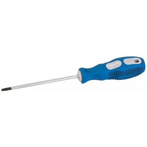 General Purpose Screwdriver Trx - T15 x 100mm