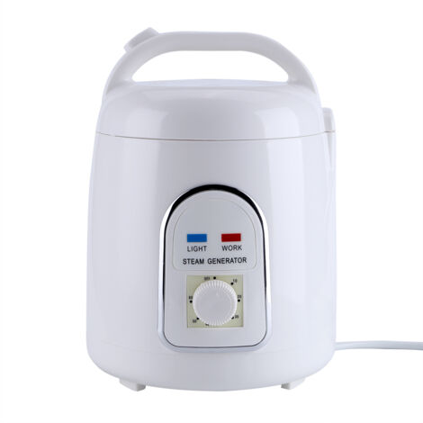 Générateur de vapeur 1.8L portable pour spa domestique, appareil vapeur 220V avec prise européenne