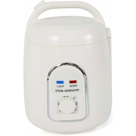 Générateur de vapeur portable 1,5 l 900 W
