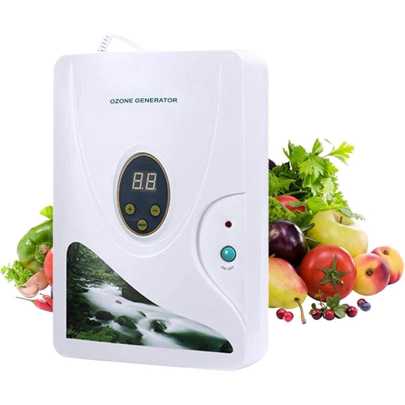 Générateur d'ozone 600 mg/h - Purificateur d'air et légumes - Avec minuterie numérique
