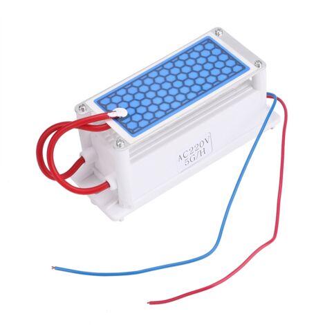 Générateur d'Ozone Portable 220V, Purificateur d'Air et d'Eau, Stérilisateur à Plaque Céramique 5g/h