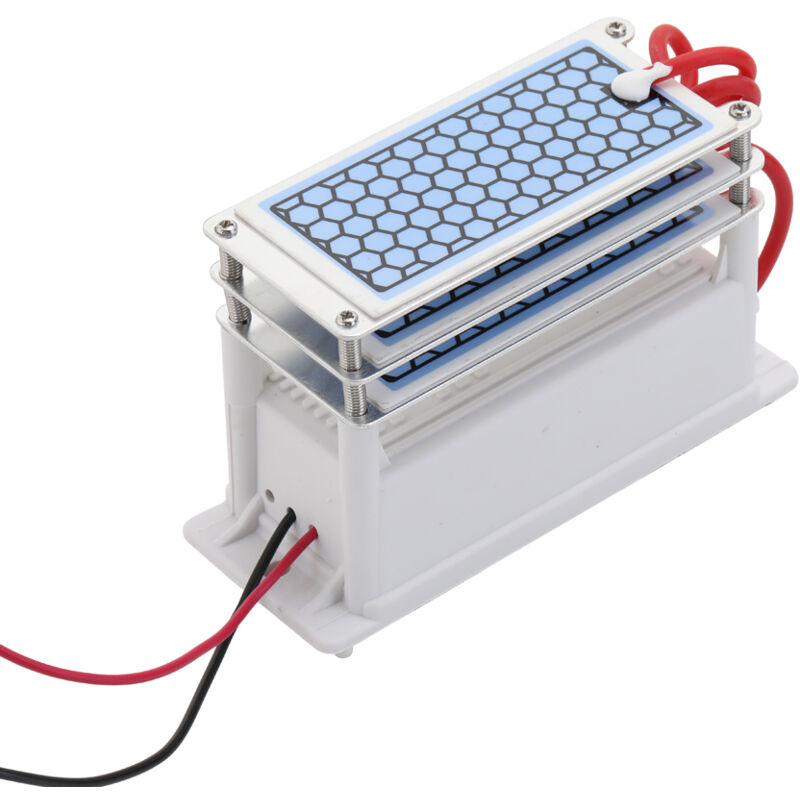 Générateur d'ozone portable en céramique 15 g/h Longue durée de vie Trois comprimés d'ozone Purificateur d'air et d'eau à plaque intégrée Ozoniseur