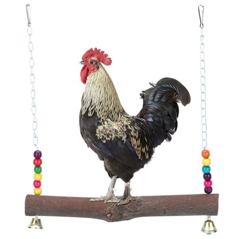 Generic Jouet Suspendu en Cage, Balançoire de Poulet Durable, Bois Naturel pour la Maison de la Chambre (balançoire de Poulet)