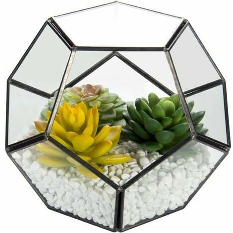 Geometrischer Glas-Terrarium-Behälter, 6,7 '' Luftpflanzenhalter Fensterbank-Dekor-Regale, Sukkulenten-Kakteen-Farn-Blumentopf-Behälter, geometrisches Dekor für Luftpflanzen, Rautenform