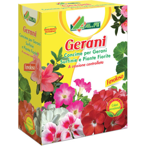 Gerani scatola kg 1X20PZ