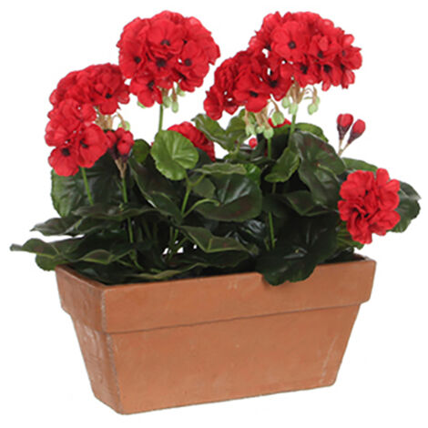 Geranium pvc rot in Balkonpflanzer 29x13x40cm