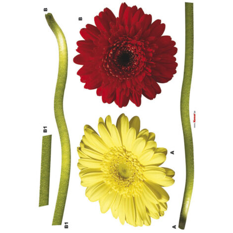 Gerbera, Sticker mural deux grandes fleurs rouge et jaune - 50x70 cm
