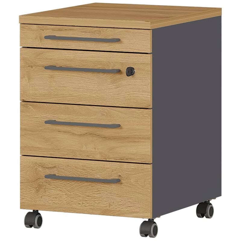 

Cajonera con ruedas GW-Agenda 42x49x61 cm grafito y roble - Multicolor - Germania