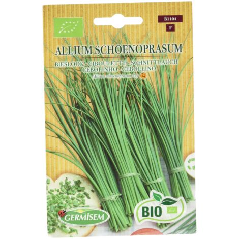 Germisem Biologico Allium Schoenopasum Semi di Erba Cipollina 2 g