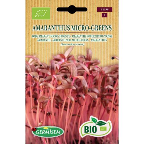 Germisem Biologico Amaranthus Micro-Greens Amaranth Semi 1 g