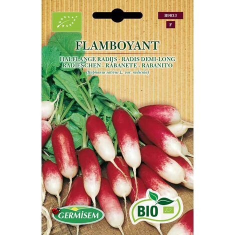 Germisem Biologico Flamboyant Semi di Ravanello 5 g