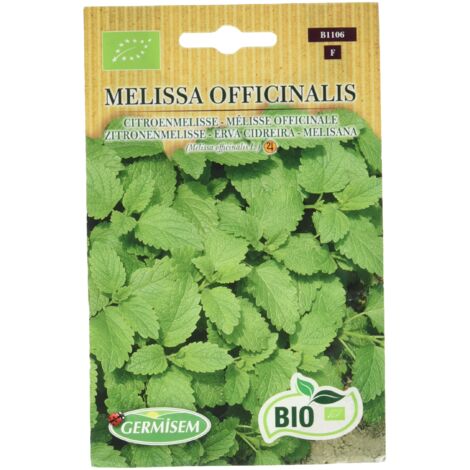 Germisem Biologico Melissa Officinalis Semi di Melissa 1 g