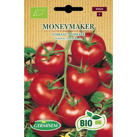 Germisem Biologico Moneymaker Semi di Pomodoro 0.5 g