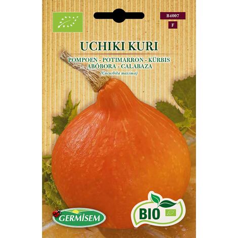 Germisem Biologico Uchiki Kuri Semi di Zucca 3 g